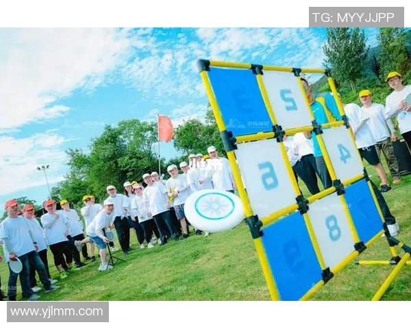 武汉飞盘队灵活性深度解析与其他队伍的对比研究