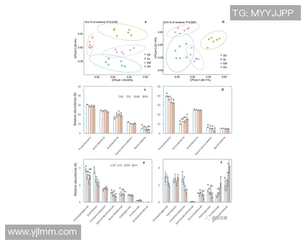 独家解析FPX灵活性对比及其对战术调整的影响分析