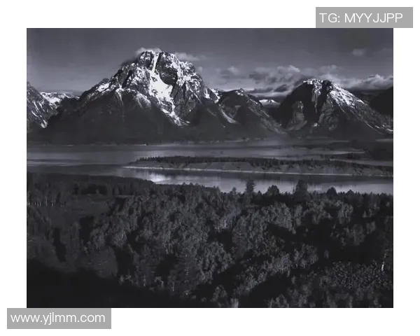 亚当斯的传奇人生与影响力探秘：从历史到现代的深远启示