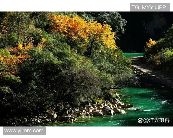 山神的巍峨与湘南海的波澜交织出一曲自然的交响乐